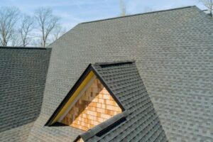 asphalt shingle roof on large family home
